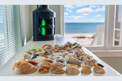 734 Indian Pass Rd, Port Saint Joe, FL 32456 - Photo 43