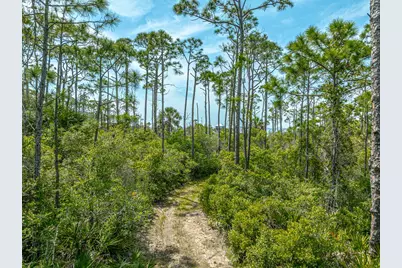 1831 Bayview Dr, Saint George Island, FL 32328 - Photo 5