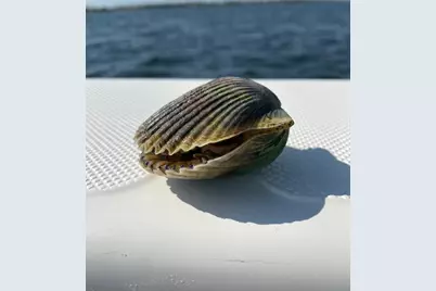 4839 Sr 30-A, Port Saint Joe, FL 32456 - Photo 45