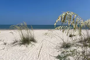 4839 Sr 30-A, Port Saint Joe, FL 32456 - Photo 47