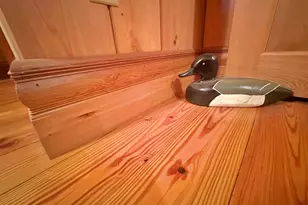 1651 Linden Rd, Apalachicola, FL 32320 - Photo 53