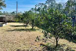 1651 Linden Rd, Apalachicola, FL 32320 - Photo 57