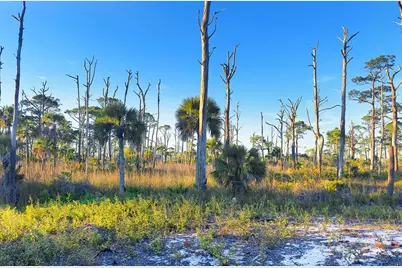 Parcel B Cape San Blas Rd, Cape San Blas, FL 32456 - Photo 15