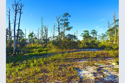 Parcel B Cape San Blas Rd, Cape San Blas, FL 32456 - Photo 5