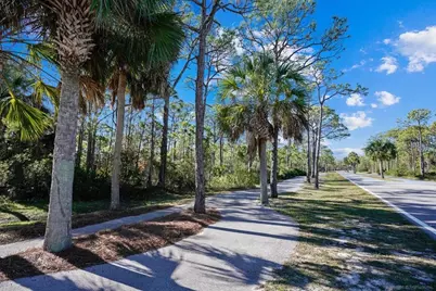 2005 Turpentine Trl, Saint George Island, FL 32328 - Photo 11