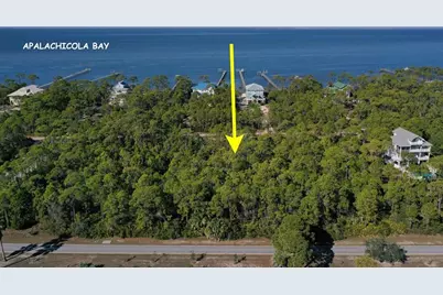 2005 Turpentine Trl, Saint George Island, FL 32328 - Photo 5