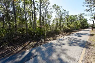 2005 Turpentine Trl, Saint George Island, FL 32328 - Photo 13