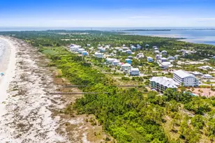 197 Cape Pointe Dr, Port Saint Joe, FL 32456 - Photo 33