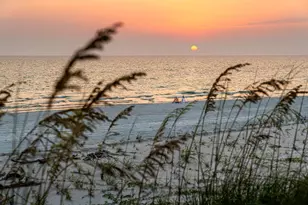 102 Curve Rd, Cape San Blas, FL 32456 - Photo 61