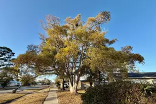 2011 Long Ave, Port Saint Joe, FL 32456 - Photo 25