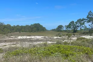 367 Gulf Shore Dr, Carrabelle, FL 32322 - Photo 47