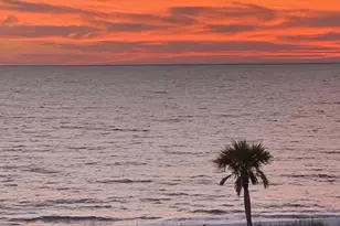 1302 Hwy 98, Mexico Beach, FL 32456 - Photo 3