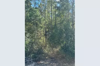 391 Jim Rish St, Wewahitchka, FL 32465 - Photo 1