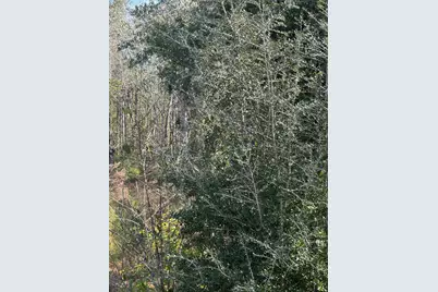 391 Jim Rish St, Wewahitchka, FL 32465 - Photo 3