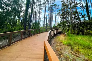 106 Mariner Ln, Cape San Blas, FL 32456 - Photo 57