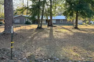 1494 Bluff Rd, Apalachicola, FL 32320 - Photo 1