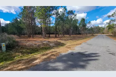 Tbd Luke Ford Rd, Wewahitchka, FL 32465 - Photo 17