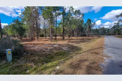Tbd Luke Ford Rd, Wewahitchka, FL 32465 - Photo 15