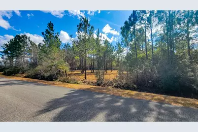 Tbd Luke Ford Rd, Wewahitchka, FL 32465 - Photo 19