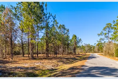 Tbd Luke Ford Rd, Wewahitchka, FL 32465 - Photo 9