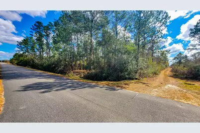 Tbd Luke Ford Rd, Wewahitchka, FL 32465 - Photo 21
