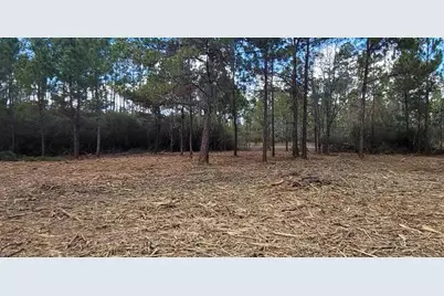 Tbd Luke Ford Rd, Wewahitchka, FL 32465 - Photo 25