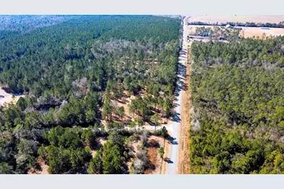 Tbd Luke Ford Rd, Wewahitchka, FL 32465 - Photo 7