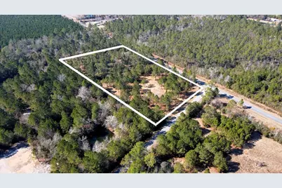 Tbd Luke Ford Rd, Wewahitchka, FL 32465 - Photo 1