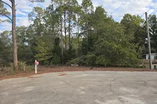 233 Apalachee St, Lanark Village, FL 32323 - Photo 1