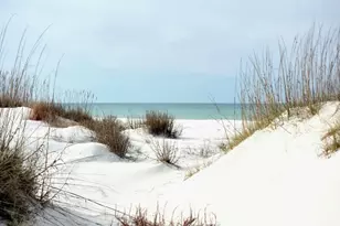 188 Avalon Dr, Cape San Blas, FL 32456 - Photo 79