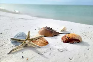 188 Avalon Dr, Cape San Blas, FL 32456 - Photo 81