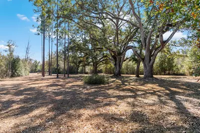 161 Grant Ln, Wewahitchka, FL 32465 - Photo 69