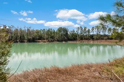 161 Grant Ln, Wewahitchka, FL 32465 - Photo 81