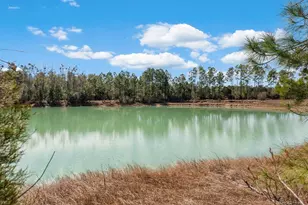 161 Grant Ln, Wewahitchka, FL 32465 - Photo 81