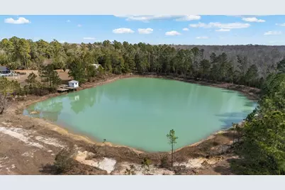 161 Grant Ln, Wewahitchka, FL 32465 - Photo 87