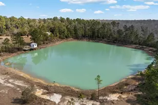 161 Grant Ln, Wewahitchka, FL 32465 - Photo 87