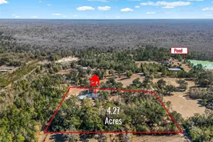 161 Grant Ln, Wewahitchka, FL 32465 - Photo 71