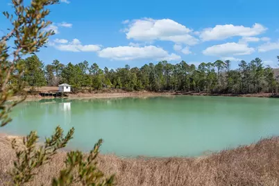 161 Grant Ln, Wewahitchka, FL 32465 - Photo 83