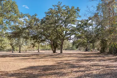 161 Grant Ln, Wewahitchka, FL 32465 - Photo 67