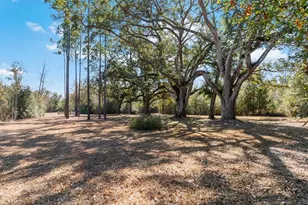 161 Grant Ln, Wewahitchka, FL 32465 - Photo 69