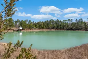 161 Grant Ln, Wewahitchka, FL 32465 - Photo 83