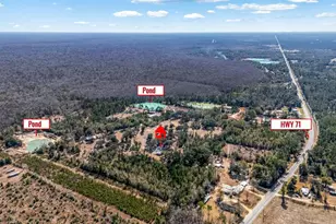 161 Grant Ln, Wewahitchka, FL 32465 - Photo 93