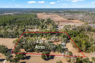 161 Grant Ln, Wewahitchka, FL 32465 - Photo 75