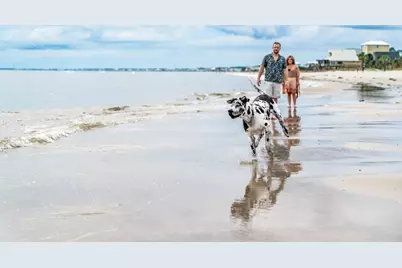 124 Painted Pony Rd, Port Saint Joe, FL 32456 - Photo 13