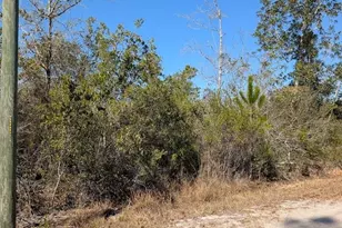 846-8A8B Hickory Hammock Rd, Carrabelle, FL 32322 - Photo 1