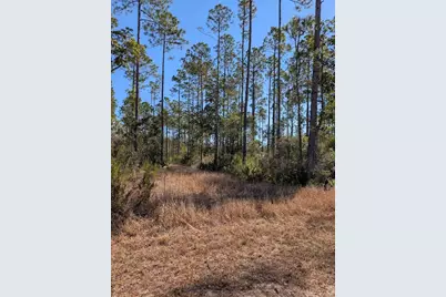 846-5B Hickory Hammock Rd, Carrabelle, FL 32322 - Photo 1
