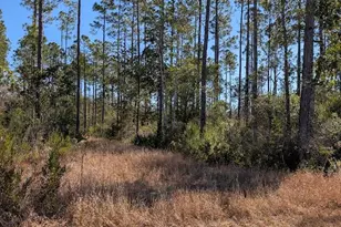 846-5B Hickory Hammock Rd, Carrabelle, FL 32322 - Photo 1