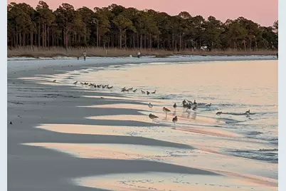 846-6B Hickory Hammock Rd, Carrabelle, FL 32322 - Photo 7