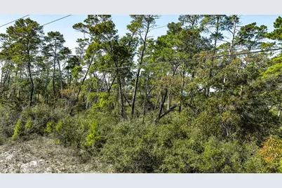 102 Plantation Dr, Carrabelle, FL 32322 - Photo 3