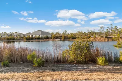127 Needle Rush Dr, Port Saint Joe, FL 32456 - Photo 49